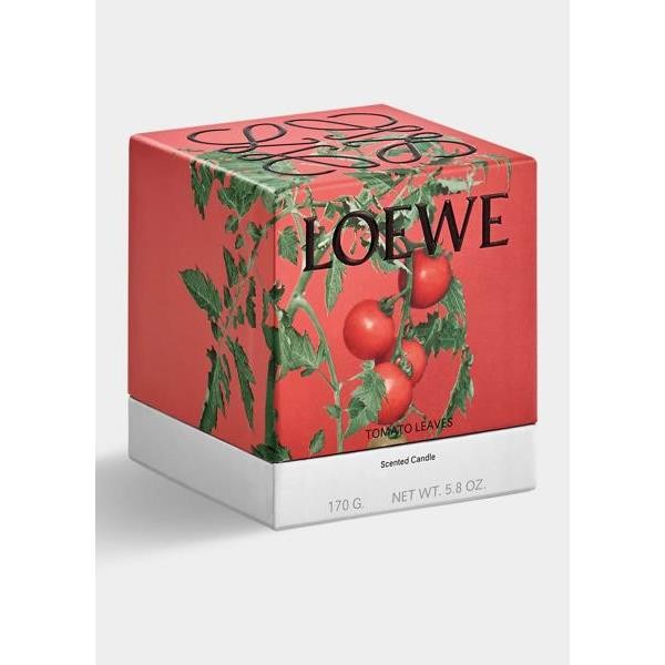 LOEWE 5.8온스 작은 토마토 잎 캔들