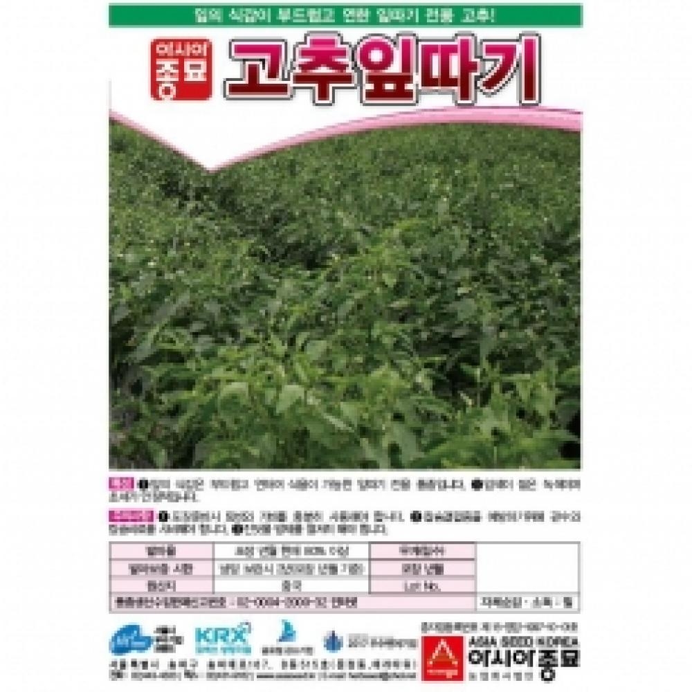 아시아종묘/고추씨앗종자 고춧잎,고추잎따기 역병내병계(1kg)