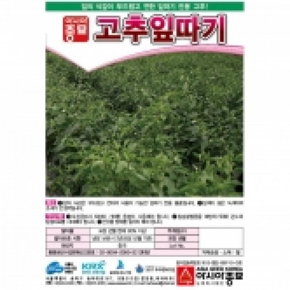 아시아종묘/고추씨앗종자 고춧잎,고추잎따기 일반종(1kg)