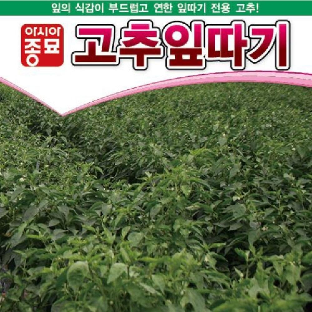 아시아종묘/고추씨앗종자 고춧잎,고추잎따기 일반종(1kg)