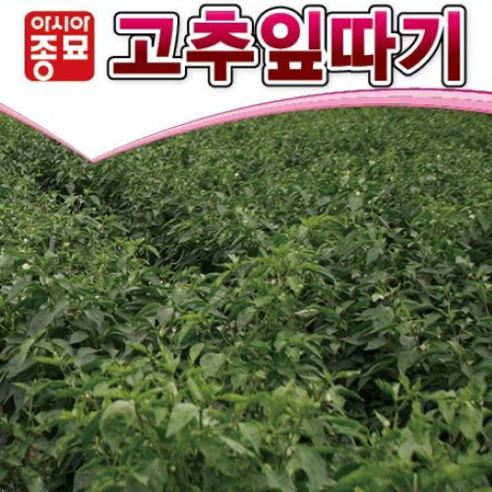 아시아종묘/고추씨앗종자 고춧잎,고추잎따기 역병내병계(100g)