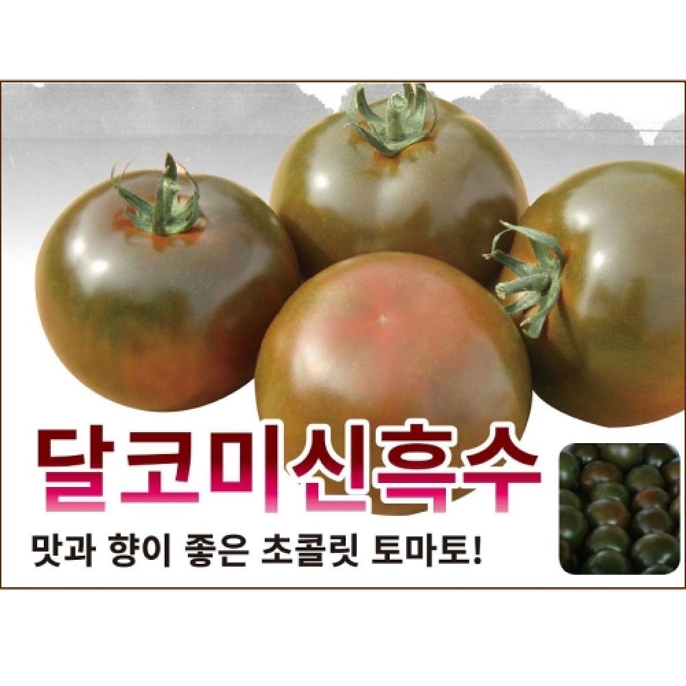(토마토씨앗종자) 달코미신흑수 토마토(100립)
