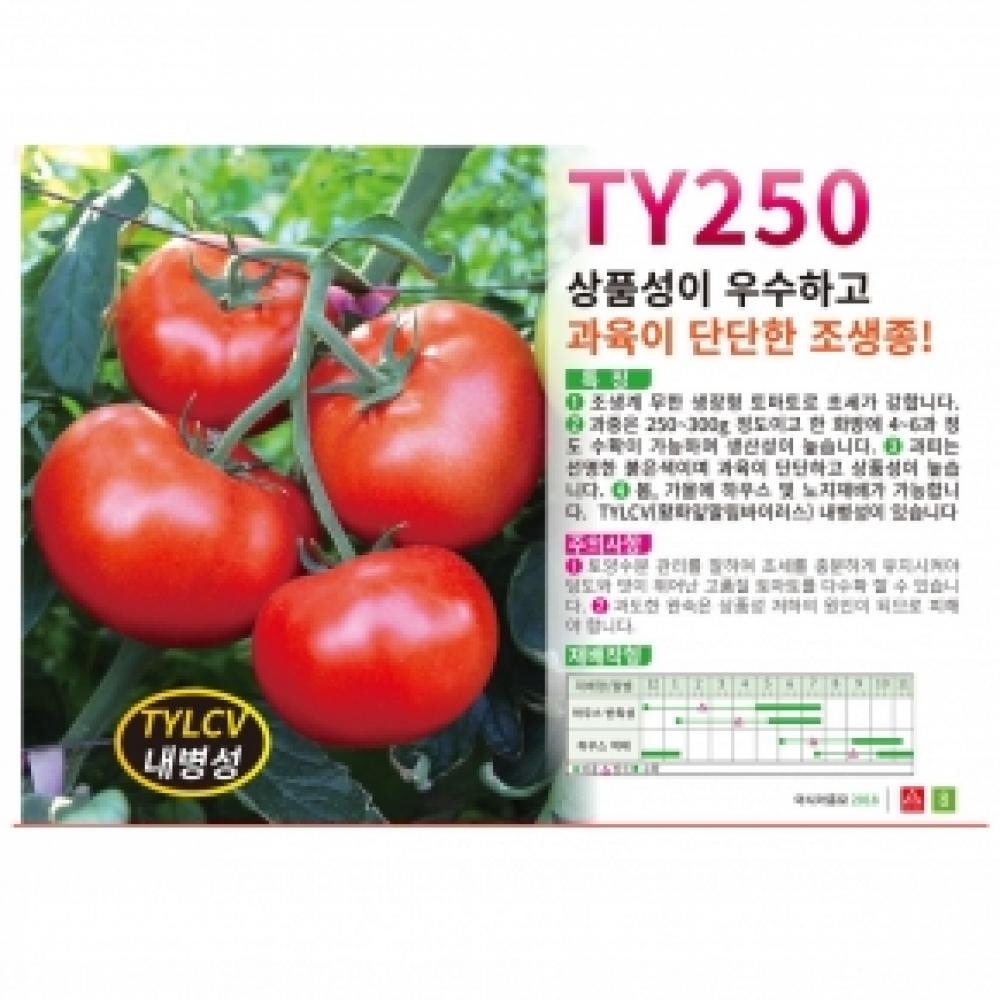 (토마토씨앗종자) 토마토 TY250(1000립)