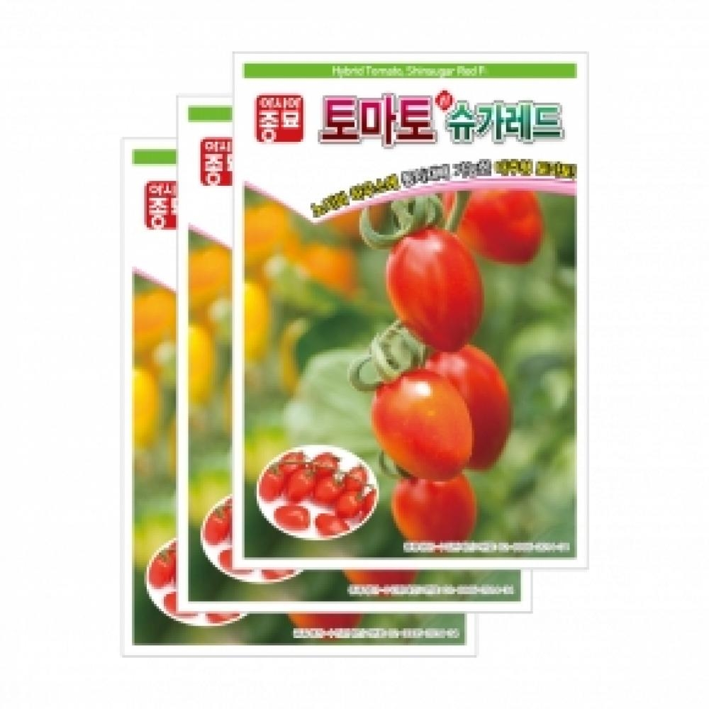 아시아종묘 채소씨앗종자 - 대추 방울 토마토씨앗 신슈가레드 (20립x3)