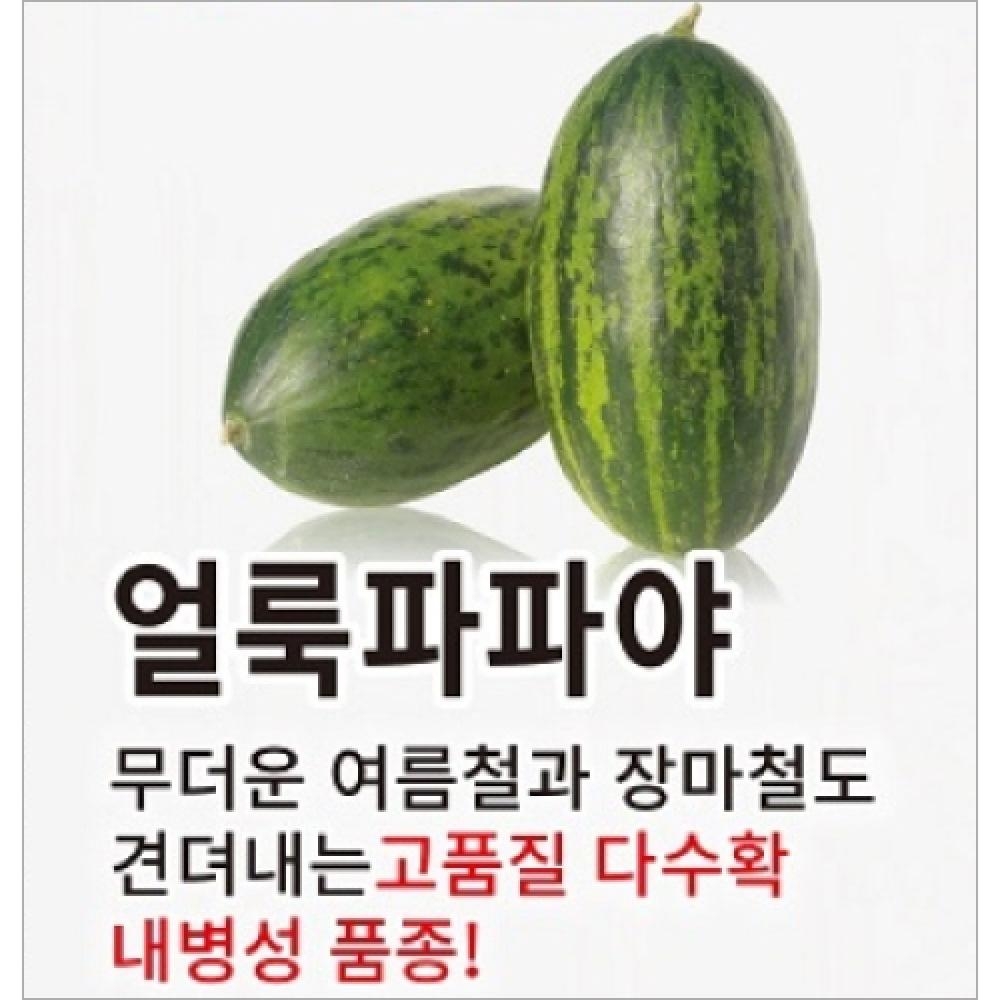 (아시아종묘/멜론씨앗종자)  얼룩파파야(100립)