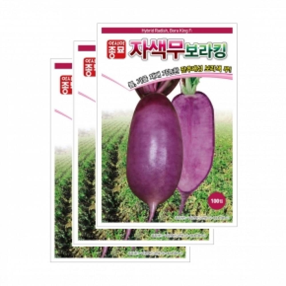 아시아종묘 채소씨앗종자 - 자색무씨앗 보라킹 (100립x3)