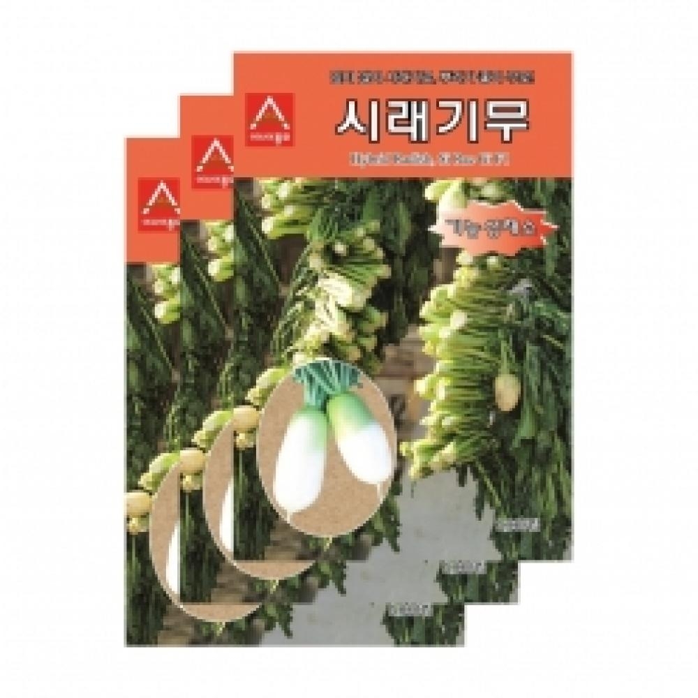 아시아종묘 채소씨앗 - 무씨앗 시래기무(2000립x3)