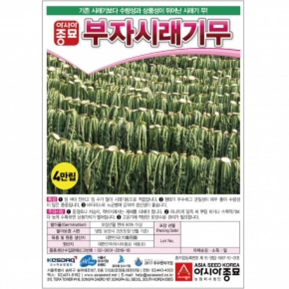 아시아종묘 무씨앗종자 부자시래기무 (4만립)