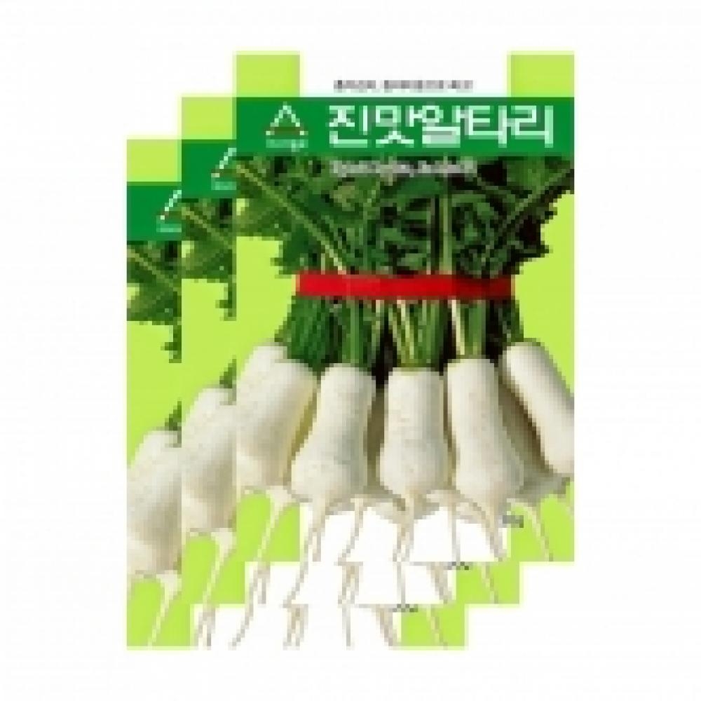 아시아종묘 채소씨앗종자 - 알타리무씨앗 진맛알타리(20gx3) 총각김치 동치미무