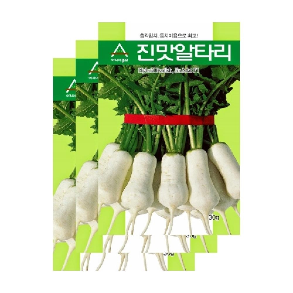 아시아종묘 채소씨앗종자 - 알타리무씨앗 진맛알타리(20gx3) 총각김치 동치미무
