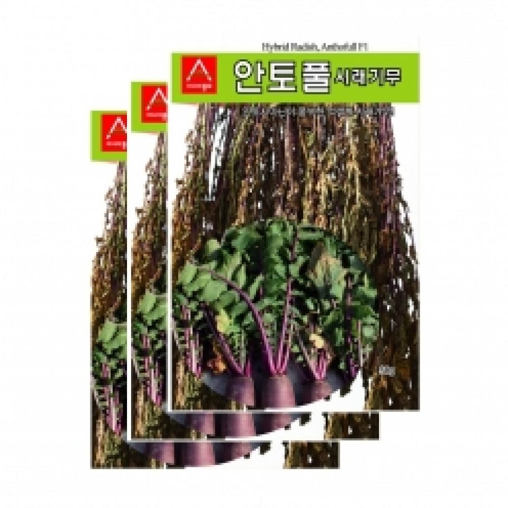 아시아종묘 채소씨앗종자 - 시래기무씨앗 안토풀(1000립x3)