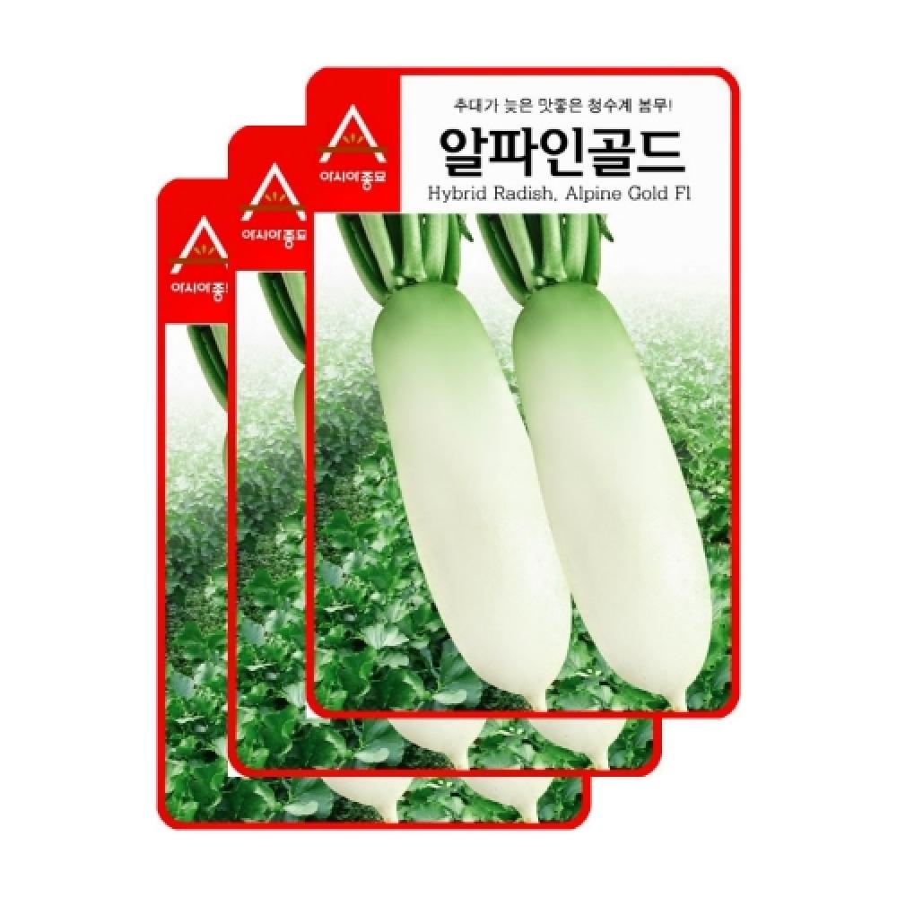 아시아종묘 채소씨앗종자 - 봄무씨앗 알파인골드(6gx3)