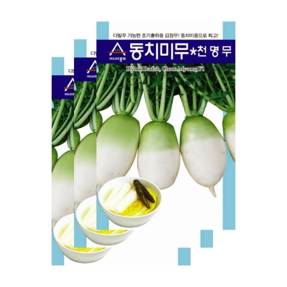 아시아종묘 채소씨앗종자 - 무씨앗 동치미무-천명무 (2000립x3)