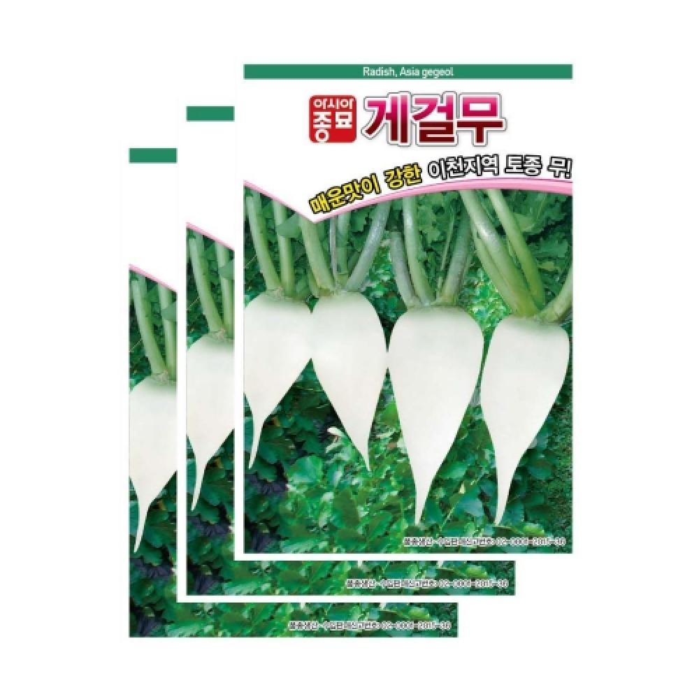 아시아종묘 채소씨앗종자 - 무씨앗 게걸무(300립x3) 가을무 토종무