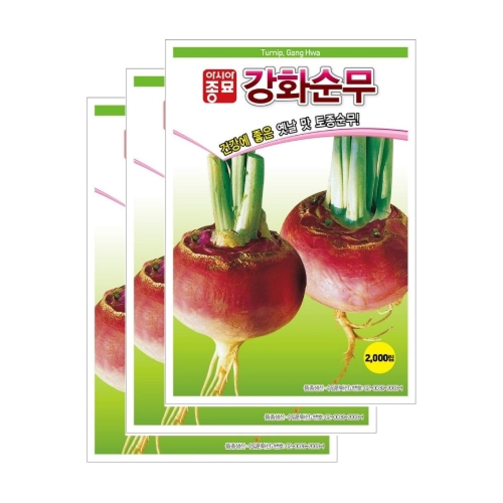 아시아종묘 채소씨앗종자 - 무씨앗 강화순무(2000립x3)