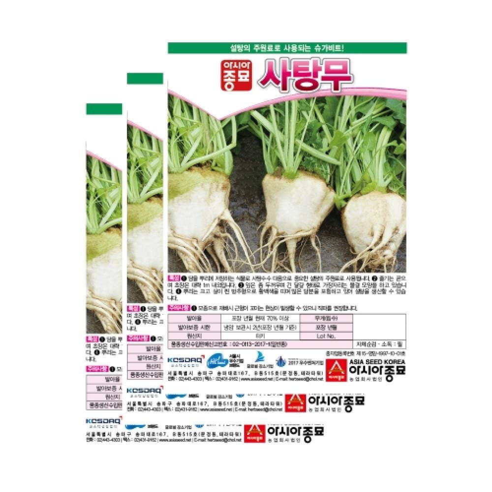아시아종묘 채소씨앗종자 - 무씨앗  슈가비트 사탕무 (100립x3)