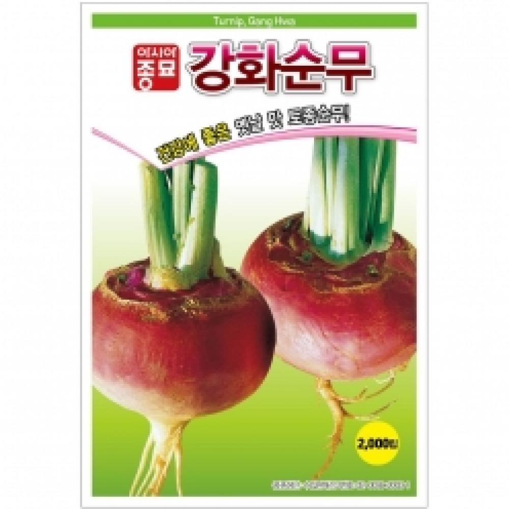 아시아종묘 무씨앗종자 강화순무(2000립)