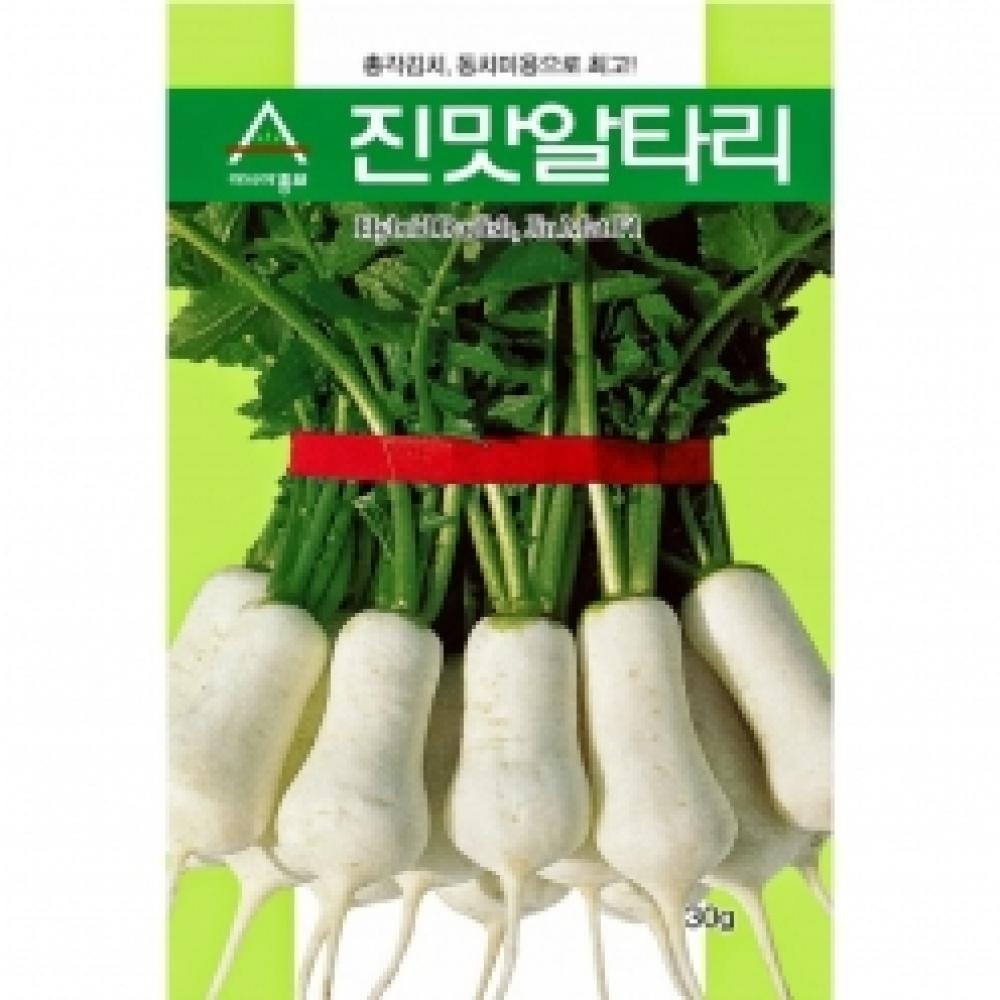(아시아종묘/무씨앗종자) 진맛알타리(500g) 총각김치 동치미무