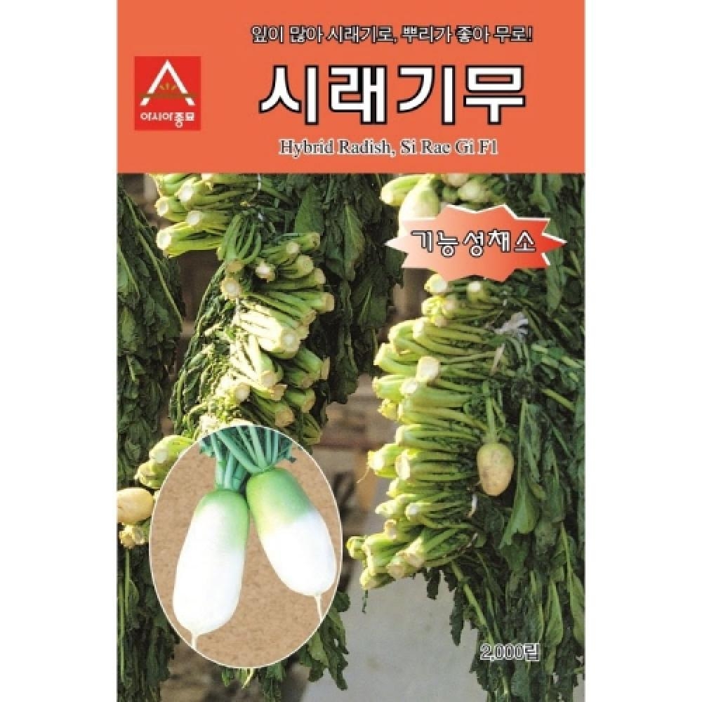 (아시아종묘/무씨앗종자) 시래기무(4만립)