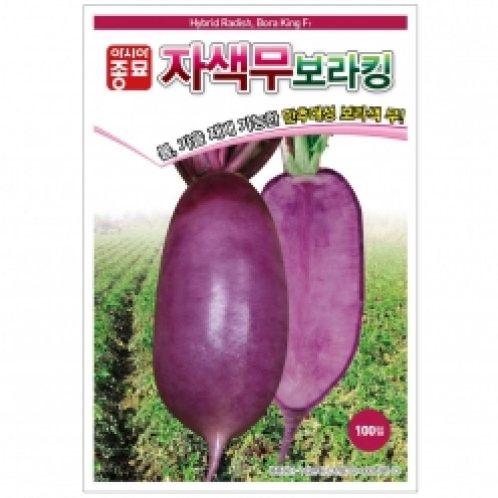 아시아종묘/무씨앗종자 보라킹 (100립)