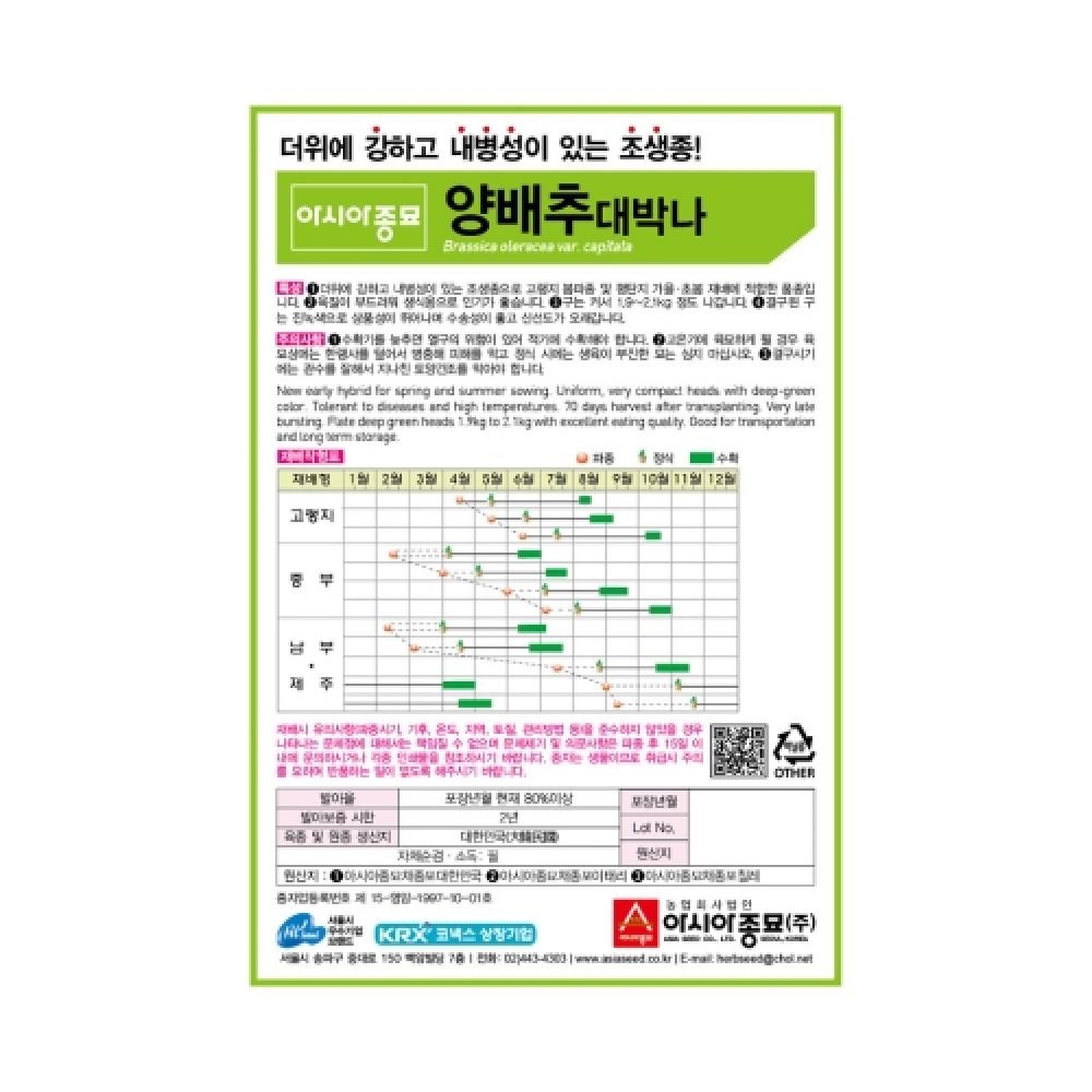 채소씨앗종자 - 대박나 양배추(200립x3)