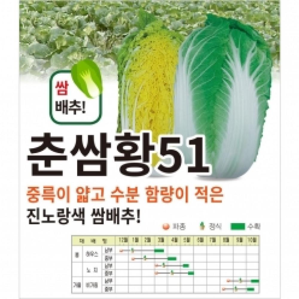 아시아종묘 배추씨앗종자 춘쌈황51(4000립)