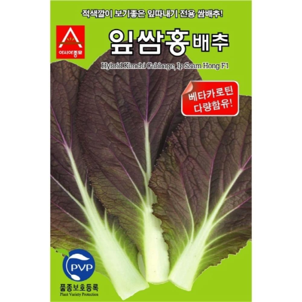 아시아종묘 배추씨앗종자 잎쌈홍 배추(2000립)
