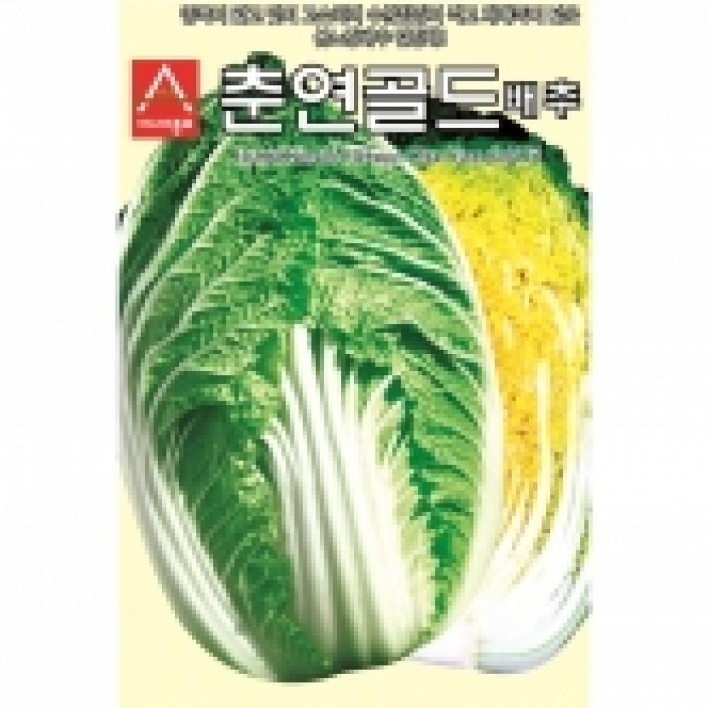 아시아종묘 배추씨앗종자 춘연골드 배추(2000립)