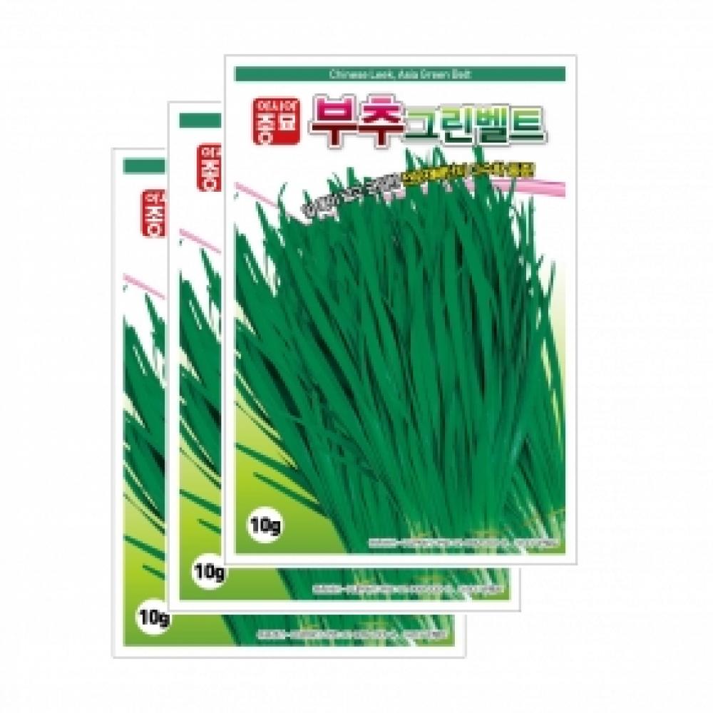 아시아종묘 채소씨앗종자 - 부추 아시아그린벨트(20gx3)