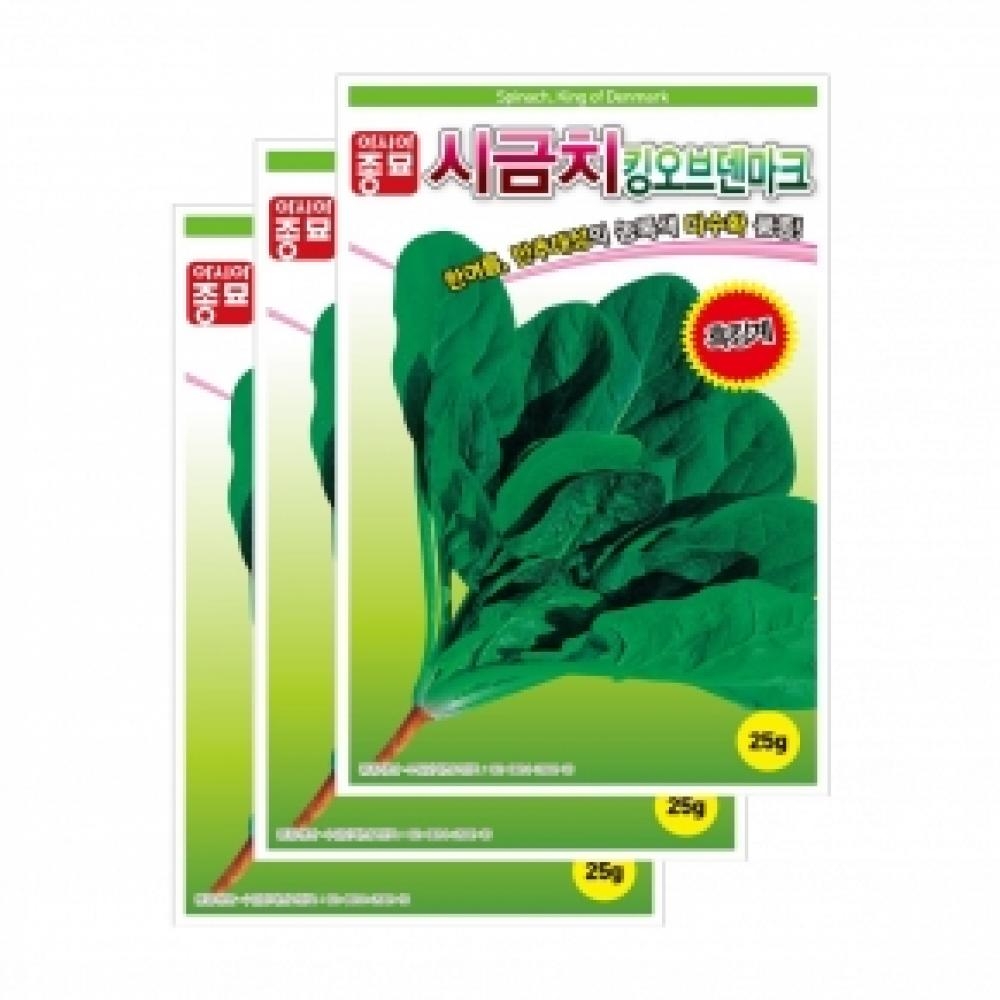 아시아종묘 채소씨앗종자 - 킹오브덴마크 시금치 (흑킹)(25gx3)