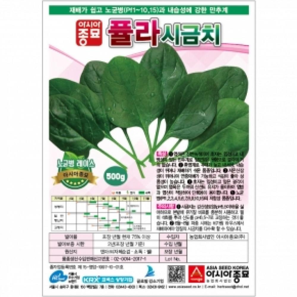 (아시아종묘/시금치종자씨앗) 퓰라 시금치(500g) 교배종