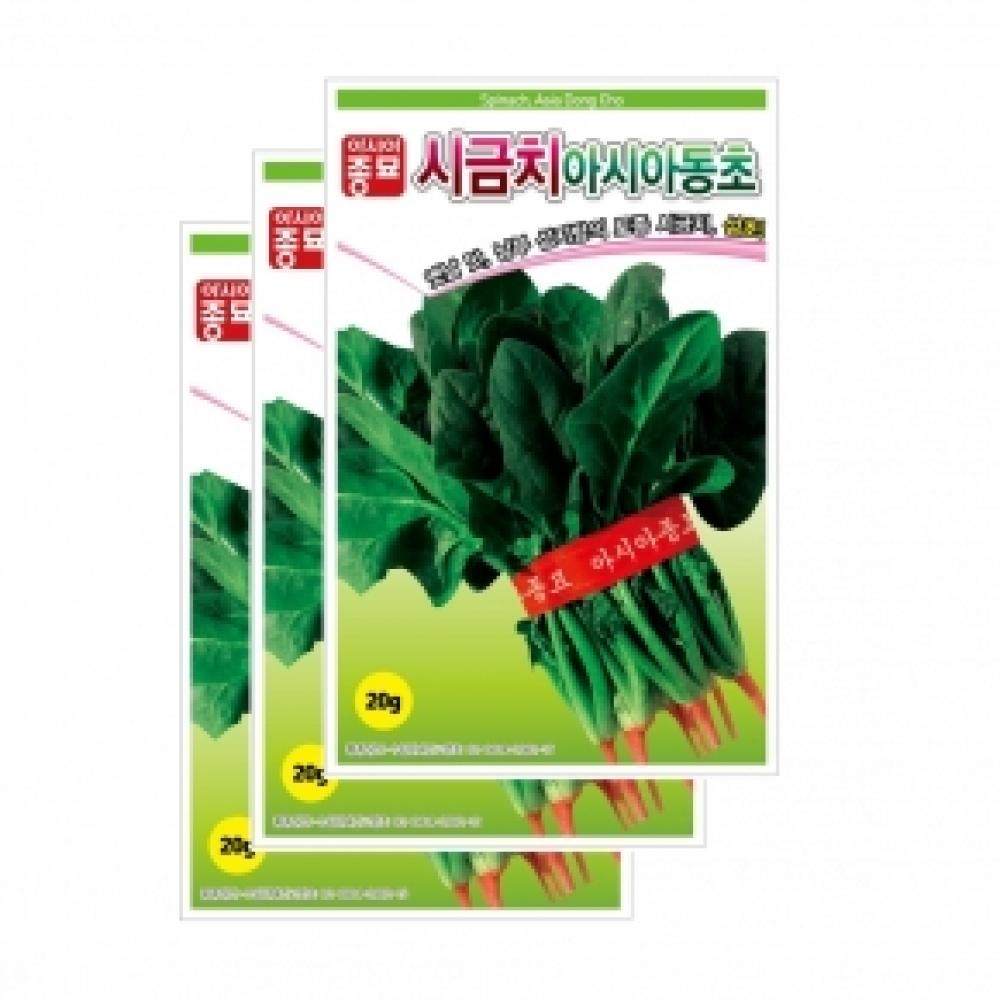 채소씨앗종자 - 시금치씨앗 아시아동초 시금치(20gx3)