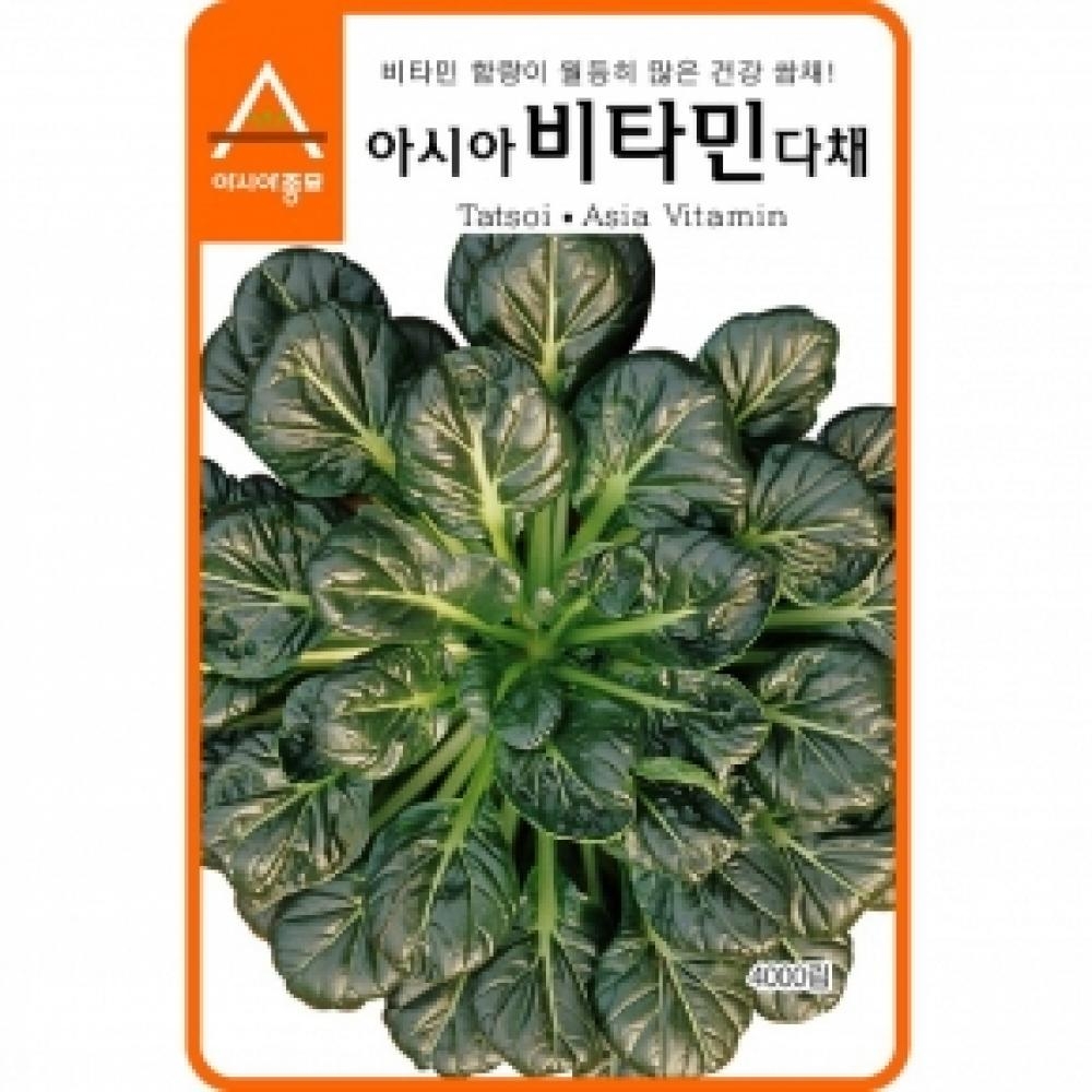 (아시아종묘/다채종자씨앗) 아시아비타민(4000립)