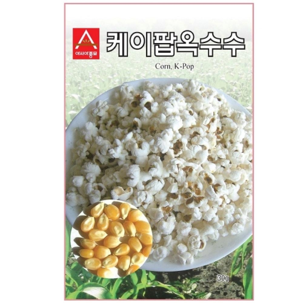 (옥수수종자씨앗) 케이팝 옥수수(팝콘용옥수수)(20g)