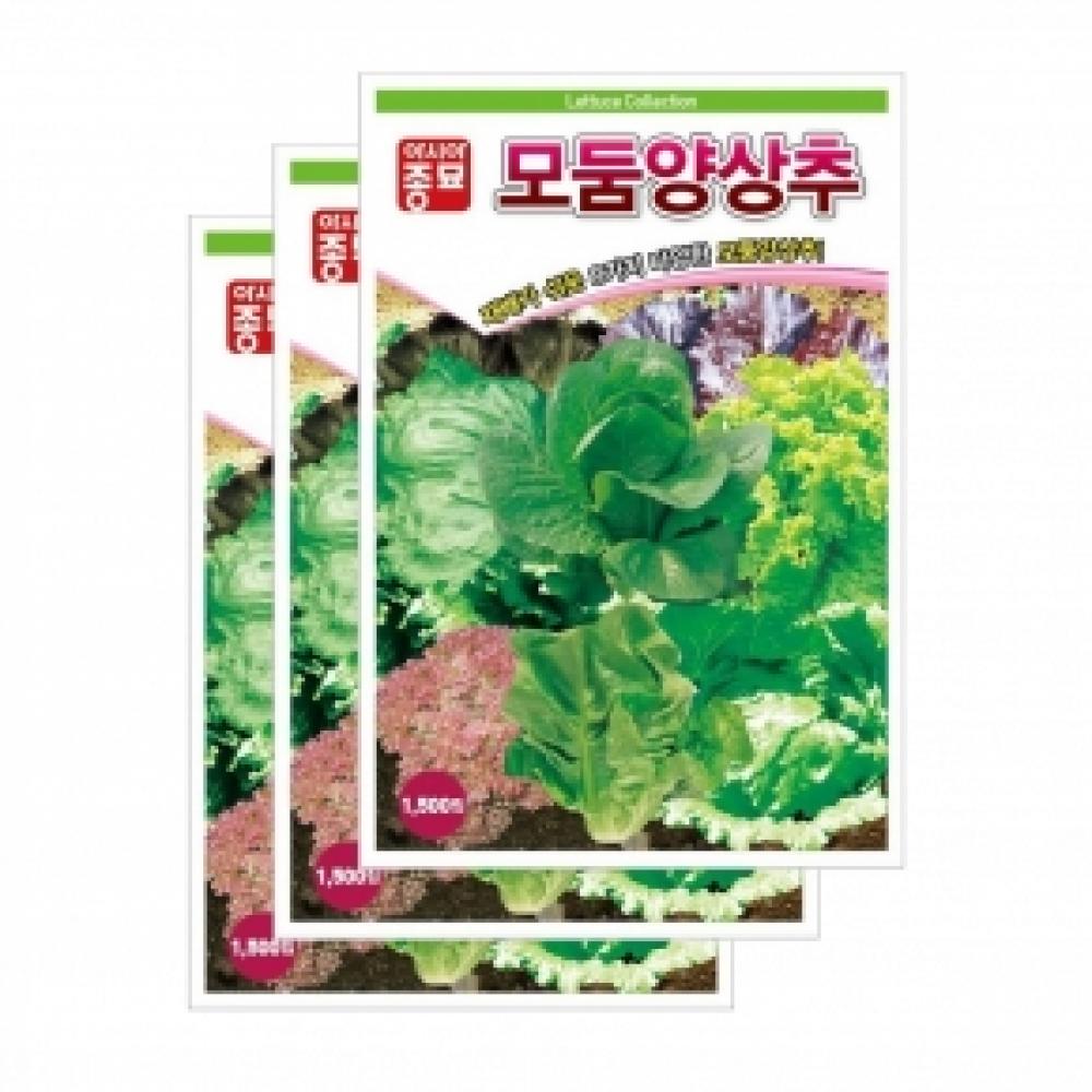 아시아종묘 채소씨앗종자 - 양상추씨앗 모둠양상추(1,500립x3)