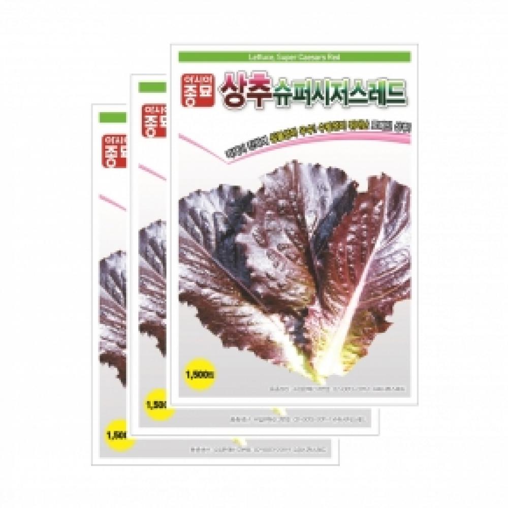 아시아종묘 채소씨앗종자 - 상추씨앗 슈퍼시저스레드(1000립x3)