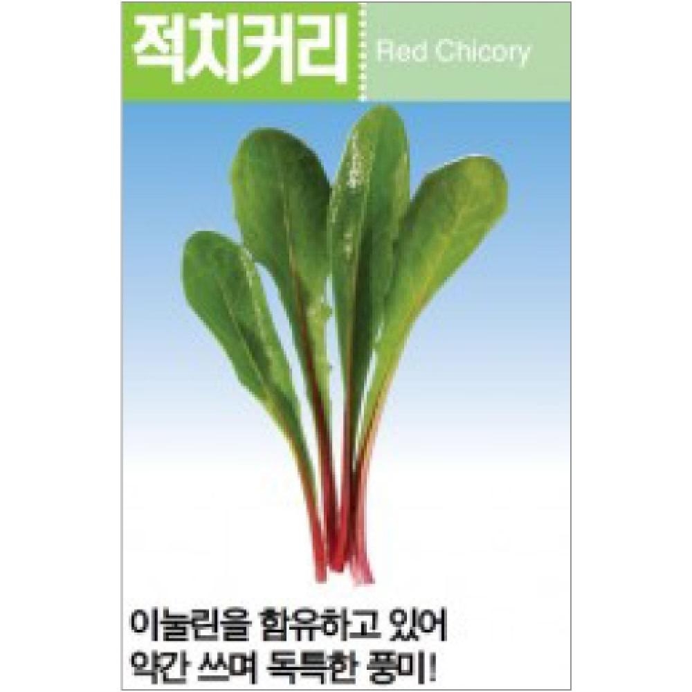 (아시아종묘/어린잎채소씨앗종자) 적치커리(45g)