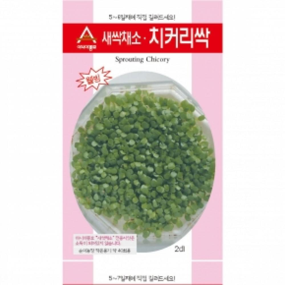 아시아종묘/새싹씨앗종자 치커리싹(30g)