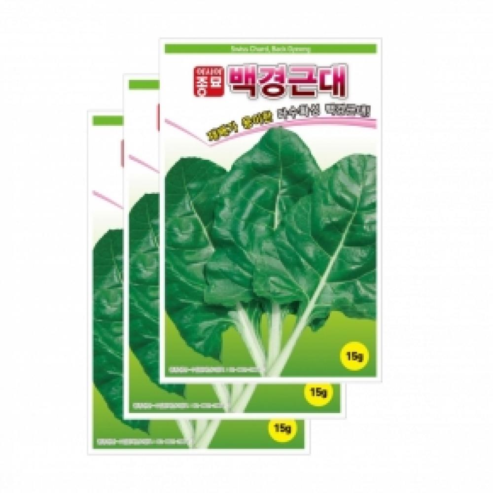 채소씨앗종자 - 근대씨앗 백경근대(15gx3)