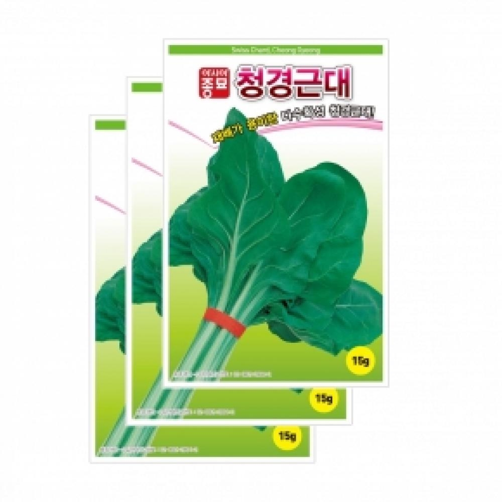 채소씨앗종자 - 근대씨앗 청경근대(5gx3)
