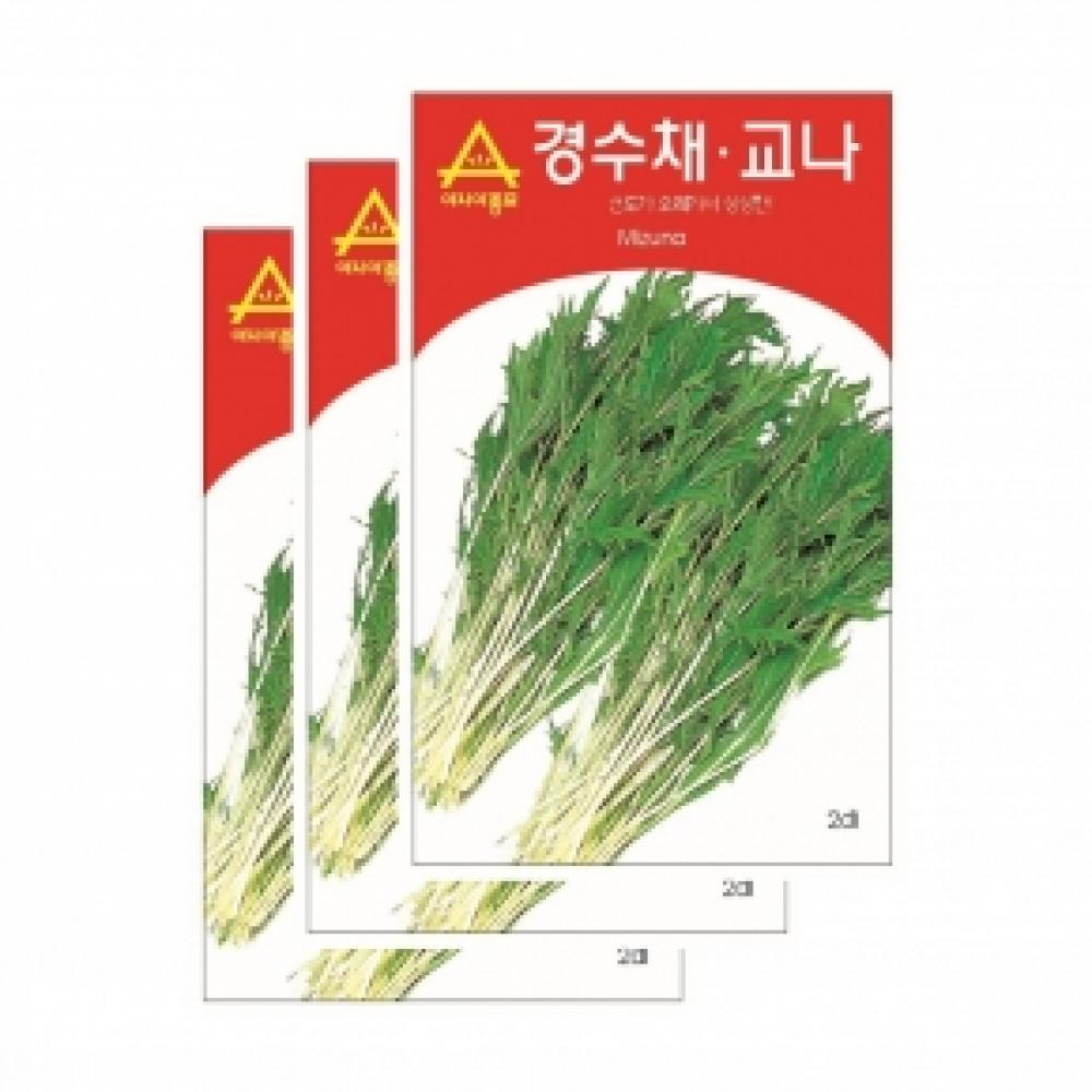 아시아종묘 채소씨앗종자 - 어린잎채소 경수채 교나(2000립x3)