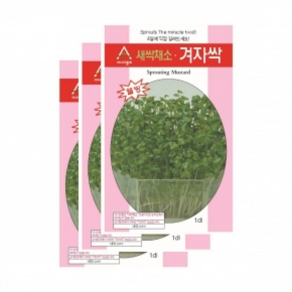 아시아종묘 채소씨앗종자 - 새싹씨앗 겨자싹(30gx3)