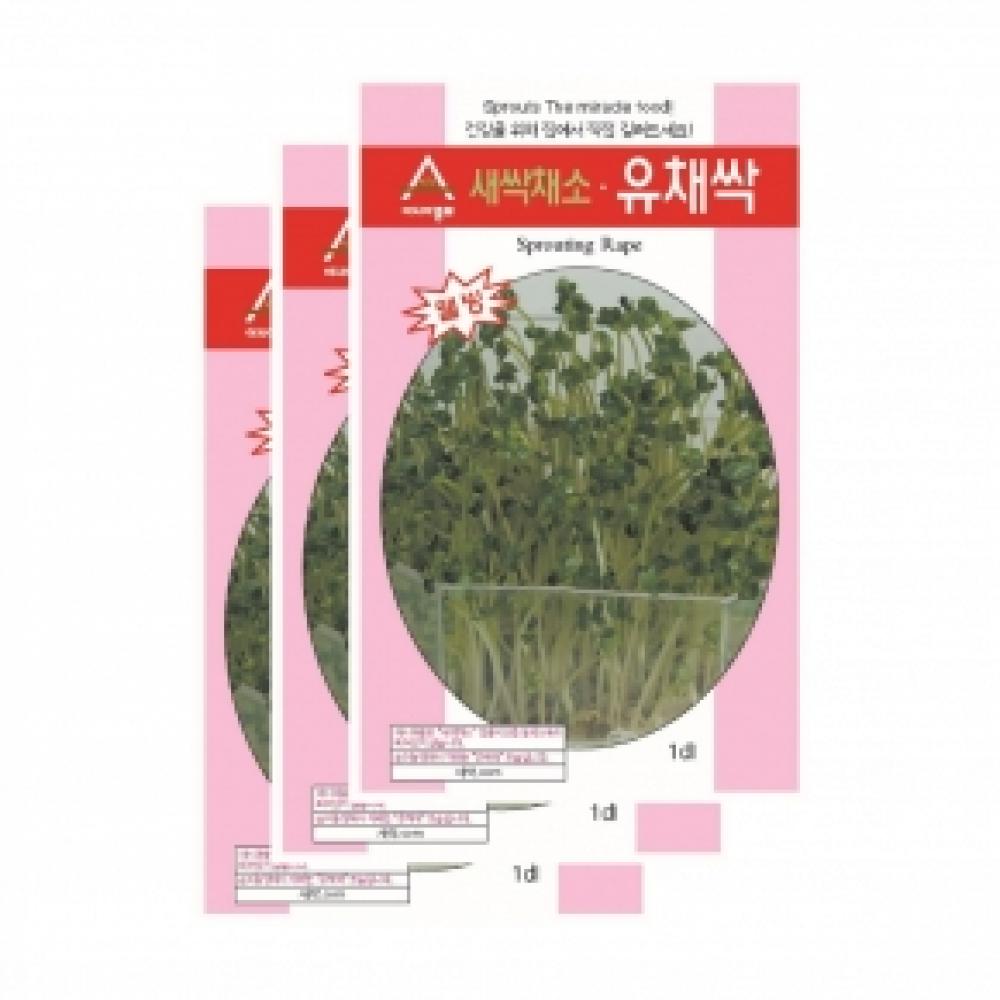 아시아종묘 채소씨앗종자 - 새싹씨앗 유채싹(30gx3)