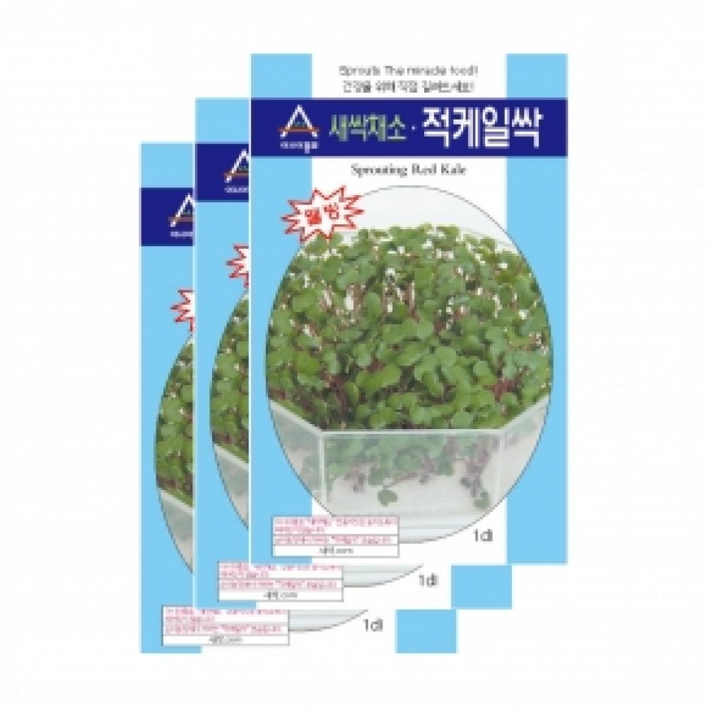 아시아종묘 채소씨앗종자 - 새싹씨앗 적케일싹(30gx3)