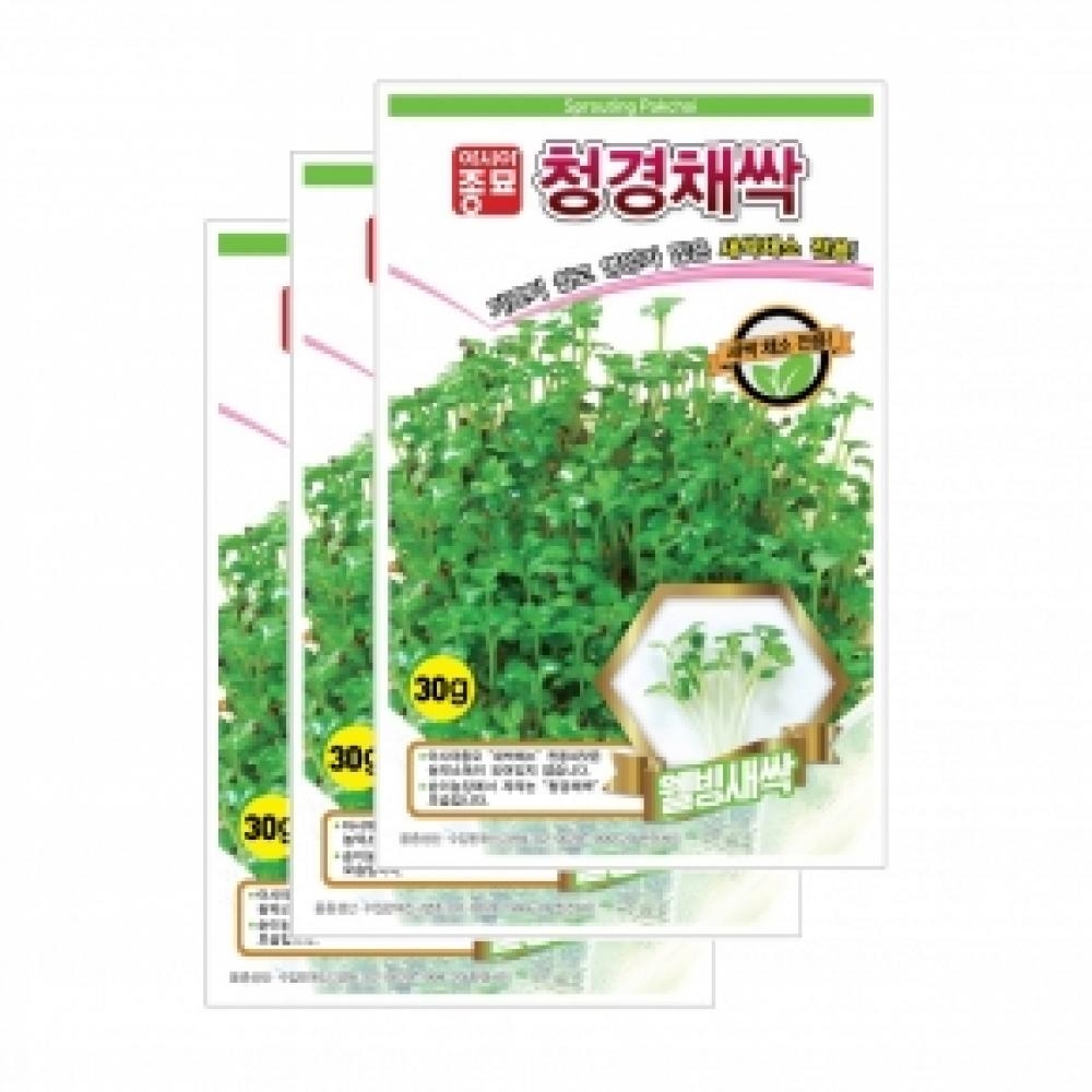 아시아종묘 채소씨앗종자 - 새싹씨앗 청경채싹(30gx3)