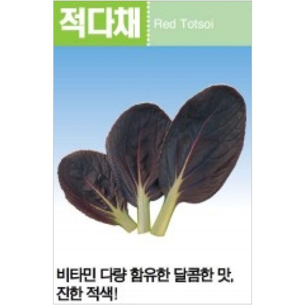 (아시아종묘/어린잎채소씨앗종자) 적다채(4000립)