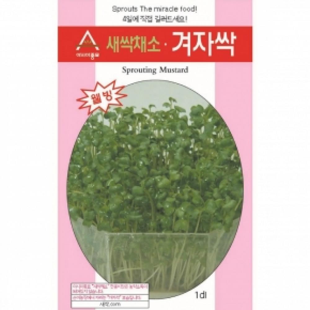 (아시아종묘/새싹씨앗종자) 겨자싹(1kg)