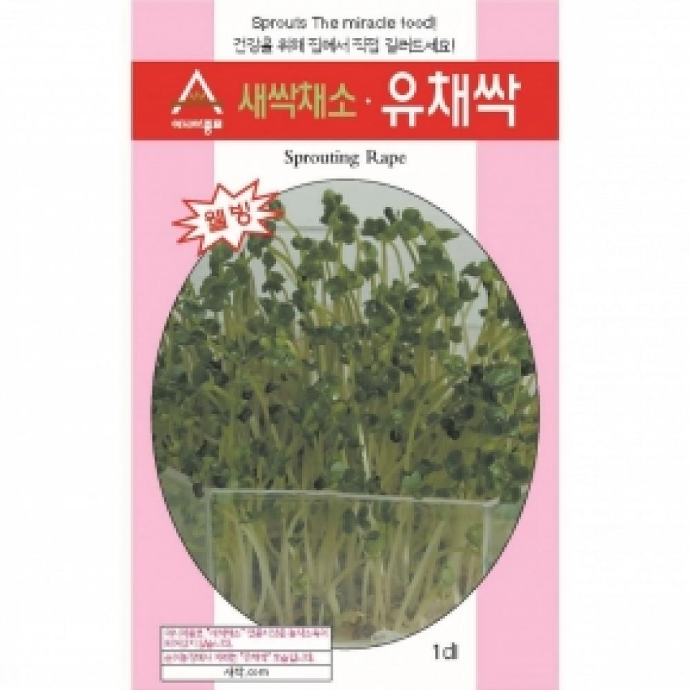 (아시아종묘/새싹씨앗종자) 유채싹(1kg)
