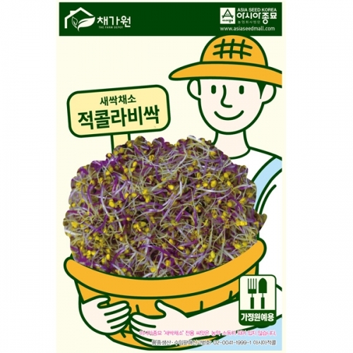 (아시아종묘/새싹씨앗종자) 적콜라비싹(1kg)