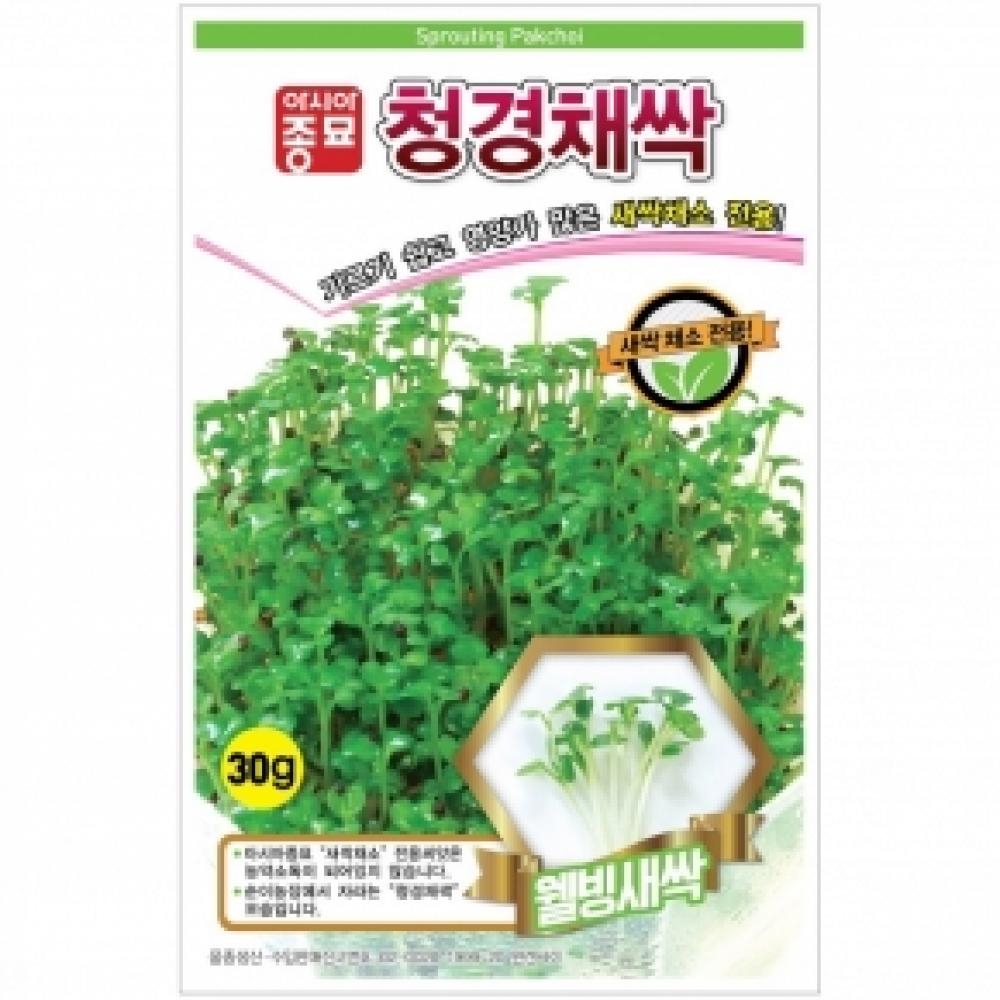 (아시아종묘/새싹씨앗종자) 청경채싹(1kg)